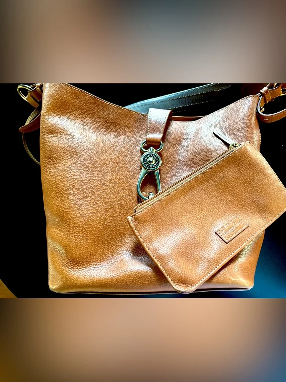 Dooney & Bourke Logo Lock Toscana Leather Shoulder Bag AND Pouch-Lily